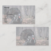 Östlicher wilder Truthahn, der im Holz strutting Visitenkarte (Vorne/Hinten)