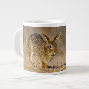 Östliches Baumwollschwanzkaninchen hoppelt Jumbo-Tasse
