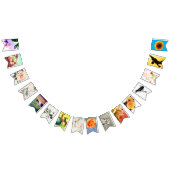 ÖSTLICHES BUNTEN WIMPELKETTE (Alle)