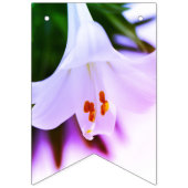 ÖSTLICHES BUNTEN WIMPELKETTE (Erste Fahne)