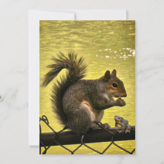 Östliches Grauhörnchen (Sciurus carolinensis) Dankeskarte (Vorderseite)