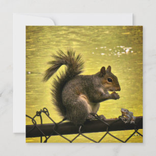 Östliches Grauhörnchen (Sciurus carolinensis)  Dankeskarte