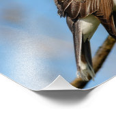 Östliches Kingbird an einer Zweigstelle Fotodruck (Ecke)