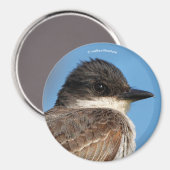 Östliches Kingbird an einer Zweigstelle Magnet (Vorderseite/Rückseite)