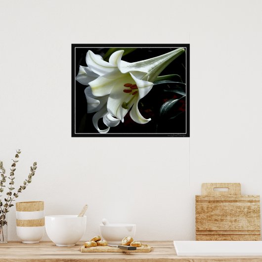 OSTLIEGENDRUCKEN POSTER (Küche)