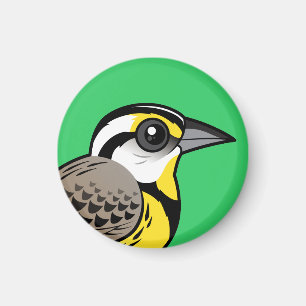 OstMeadowlark Magnet
