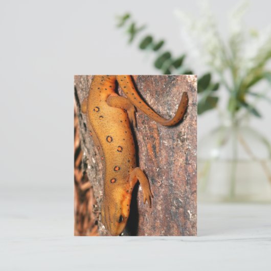 Ostnewt-Eidechse Postkarte (Stehend Vorderseite)