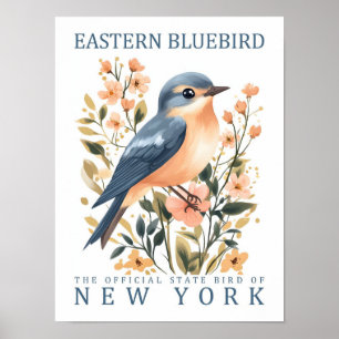 Ostösterliche Blaumeise Vogel von New York USA Poster