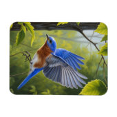 Ostöstlicher Blaukehl-Hüttensänger Magnet (Horizontal)