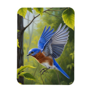 Ostöstlicher Blaukehl-Hüttensänger Magnet