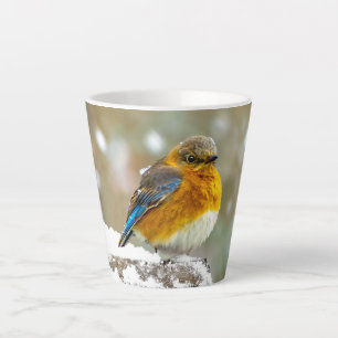 Ostöstlicher Blauvogel im Schnee - Originalfotogra Milchtasse