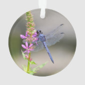 OstPondhawk Ornament (Rückseite)