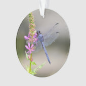 OstPondhawk Ornament (Vorderseite)