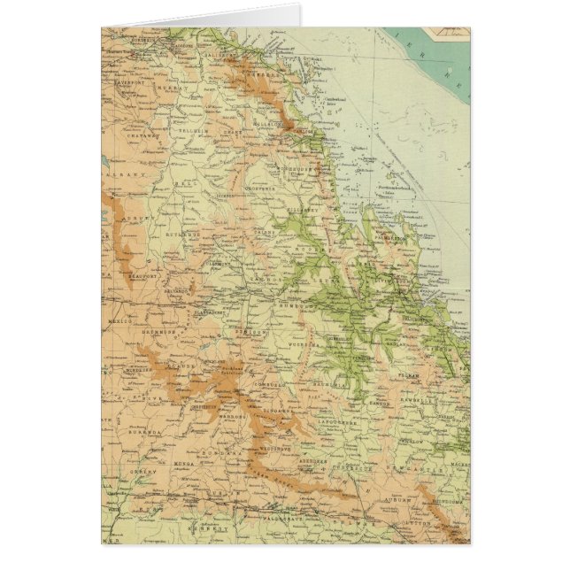 Ostqueensland (Vorne)