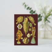 Ostraciontes (Boxfish), Ernst Haeckel Fine Art Postkarte (Stehend Vorderseite)