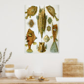 Ostraciontes Poster (Küche)