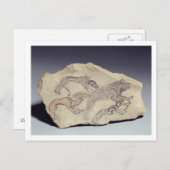 Ostracon zeigt einen Hund, der eine Hyäne jagt (Li Postkarte (Vorne/Hinten)