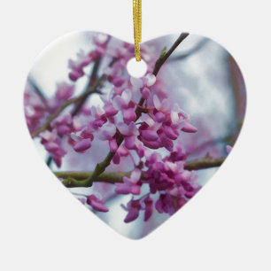OstRedbud Wildblumen - Cercis canadensis Keramikornament