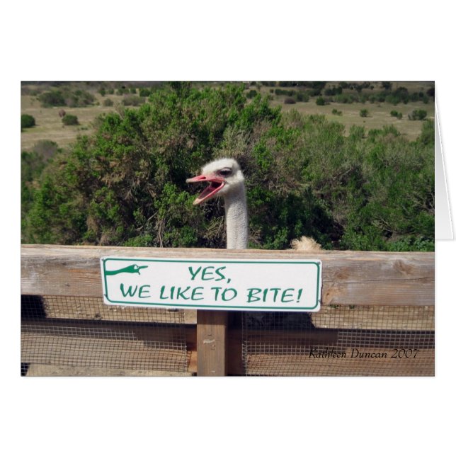 Ostrich (Vorderseite (Horizontal))