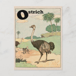 Ostrich Alphabet Letter Postkarte