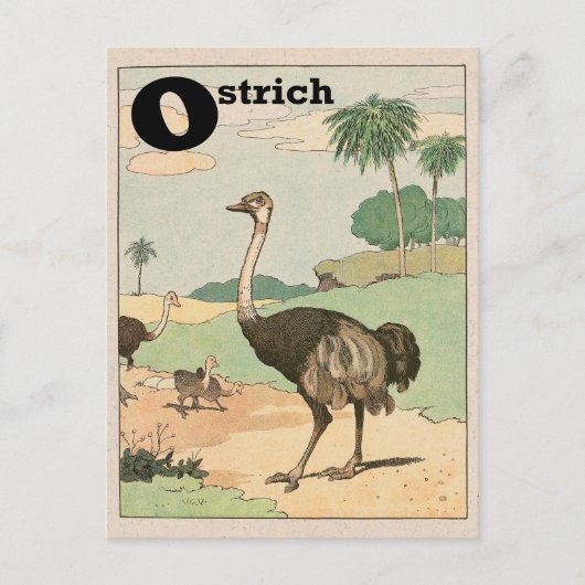 Ostrich Alphabet Letter Postkarte (Vorderseite)