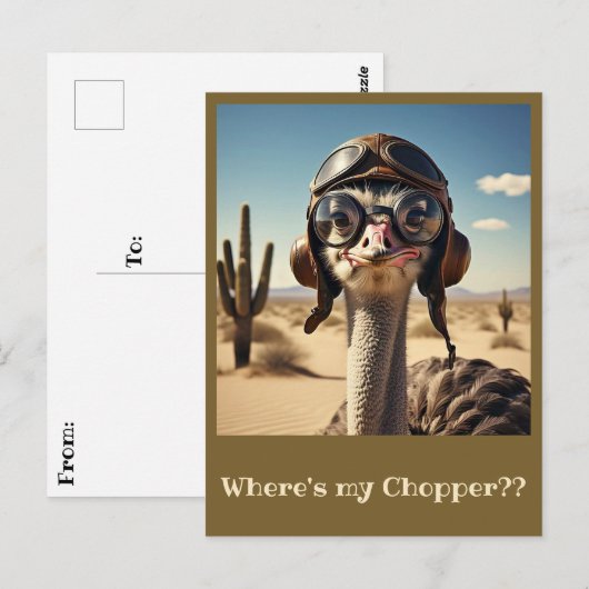 " OSTRICH AVIATOR " POSTKARTE (Vorne/Hinten)