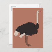 Ostrich Bird Illustration Feiertagspostkarte (Vorne/Hinten)