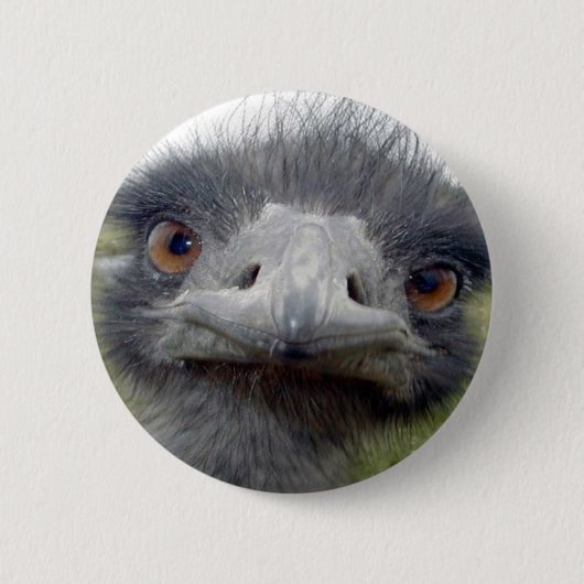 Ostrich Button (Vorderseite)