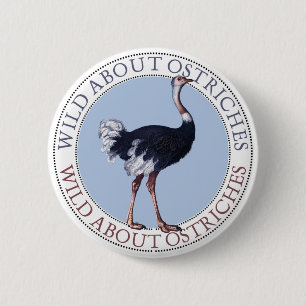 Ostrich Button