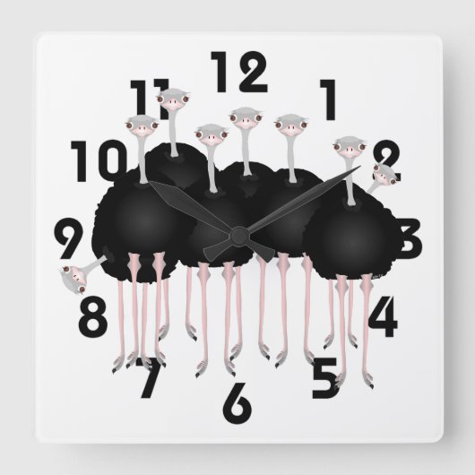 Ostrich Clock Quadratische Wanduhr (Vorderseite)