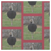 Ostrich Fabric Stoff (Nahaufnahme)