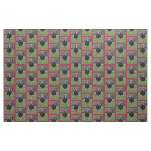 Ostrich Fabric Stoff (Fat Quarter (45,7 x 55,9 cm))