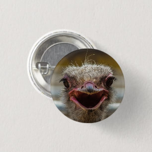 Ostrich Face Nah-up Button