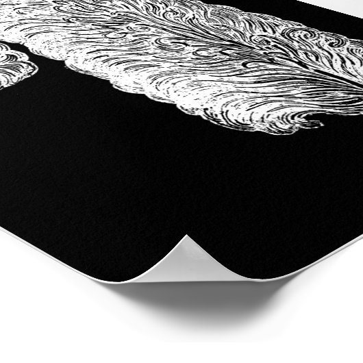 Ostrich Feather Print Poster (Ecke)