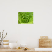Ostrich Ferns mit Fiddleheads Poster (Küche)