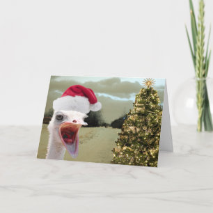 Ostrich Gets Excited Over Christmas Feiertagskarte