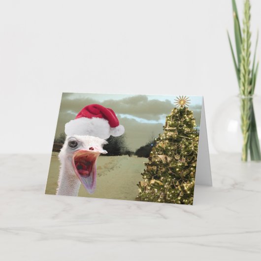 Ostrich Gets Excited Over Christmas Feiertagskarte (Vorderseite)