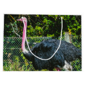 Ostrich Große Geschenktüte (Rückseite)