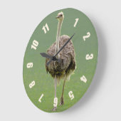 Ostrich Große Wanduhr (Winkel)