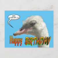 Ostrich Happy Birthday individualisierbare Postkar
