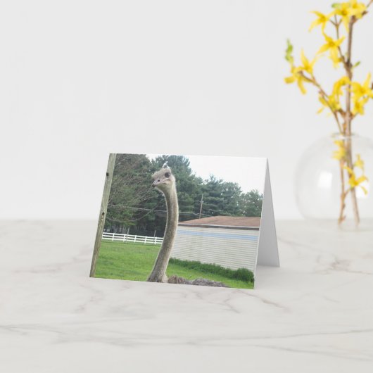 Ostrich Karte (Gelbe Blume)