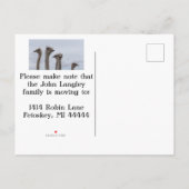 OSTRICH KONFUSION VERLAGERUNG POSTCARD ANKÜNDIGUNGSPOSTKARTE (Rückseite)