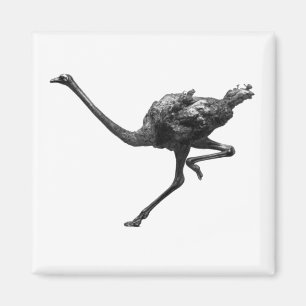 Ostrich läuft Coole Sportart Magnet