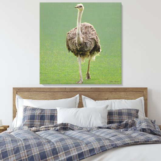 Ostrich Leinwanddruck (Insitu (Schlafzimmer))