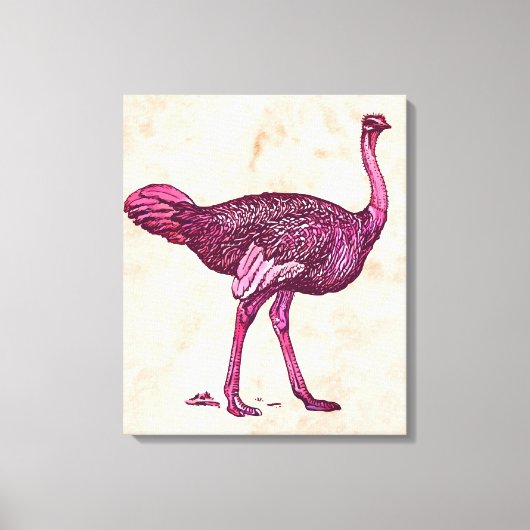 Ostrich Leinwanddruck (Vorderseite)