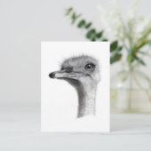 OSTRICH-LEITERIN IN PENCIL: ART: REALISMUS POSTKARTE (Stehend Vorderseite)