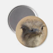 Ostrich Magnet (Vorderseite/Rückseite)