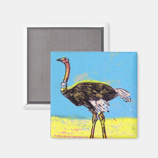 Ostrich Magnet (Vorderseite/Rückseite)
