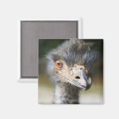 Ostrich Magnet (Vorderseite/Rückseite)