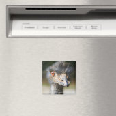 Ostrich Magnet (In Situ (Geschirrspüler))